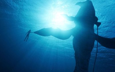 «Avatar: El Sentido del Agua» (James Cameron, 2022)
