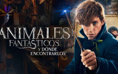 «Animales fantásticos y dónde encontrarlos» (David Yates, 2016)