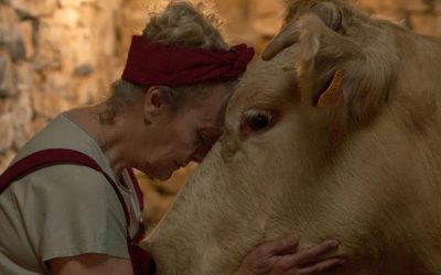 «Cowgirl»