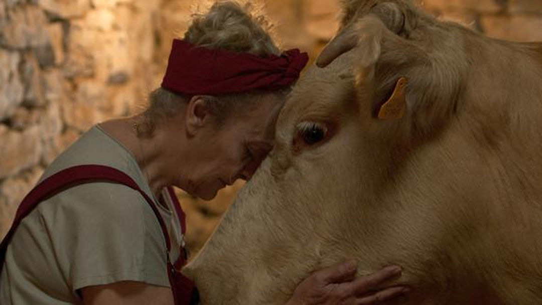 «Cowgirl»