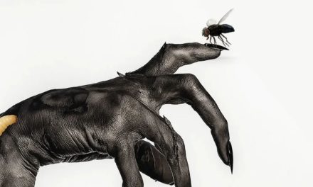 «Posesión infernal: En llamas»