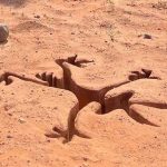 «Coyote vs. ACME»