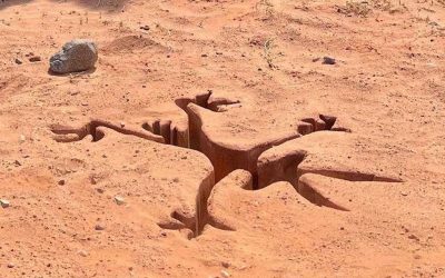 «Coyote vs. ACME»