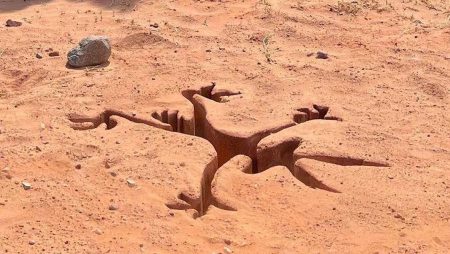 "Coyote vs. ACME" coyotevsacme_destacada
